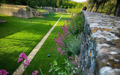 El mercado inmobiliario en Navarra cambia de fase
