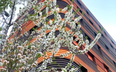 El precio de la vivienda sube un 8,5% en Navarra